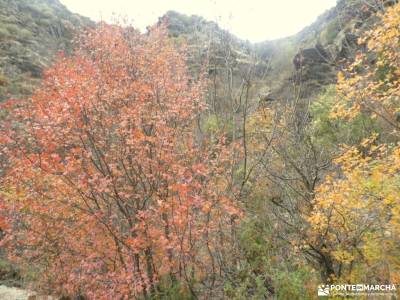 Parque Natural del Alto Tajo-Valle de los Milagros;desfiladero de las xanas asturias el cañon del ri